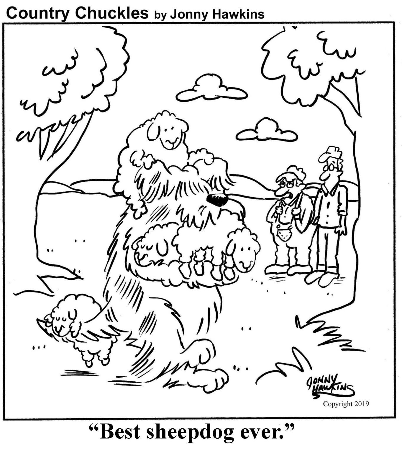 Country Chuckles by Jonny Hawkins